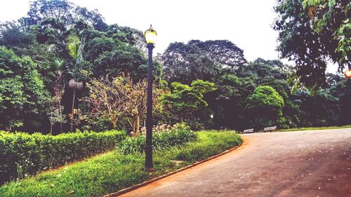 Road amidst trees against sky