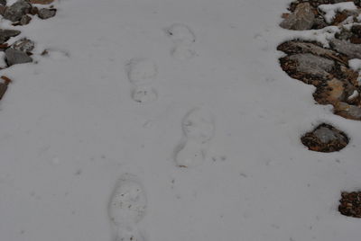 High angle view of wet snow on land