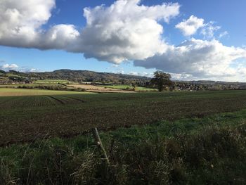 Scenic view of field against sky