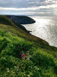 Scenic view of sea against cloudy sky