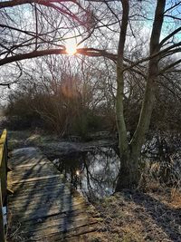 Bare trees by river against sky at sunset