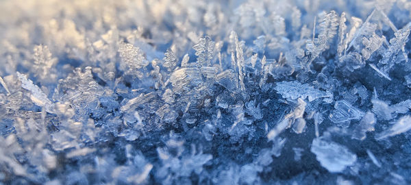 Close-up of ice crystals on a cold winter day