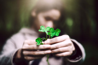 Close-up of hand holding small plant