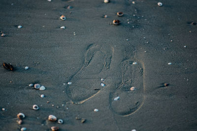 High angle view of footprints on wet sand