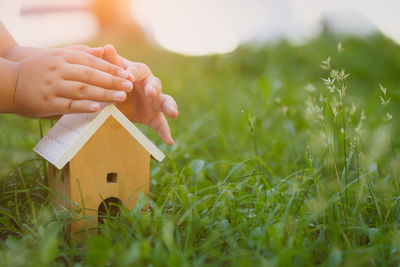 Midsection of person holding plant in field