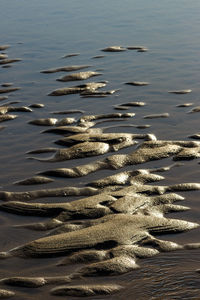 High angle view of surf on beach