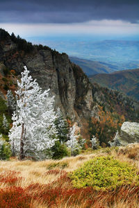 Scenic view of carpathian mountain range against cloudy sky