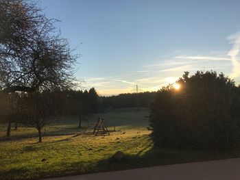 Trees on field against sky at sunset