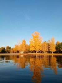 Scenic view of lake by trees against clear blue sky