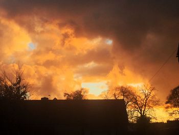 Sun shining through trees