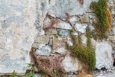 Close-up of stone wall