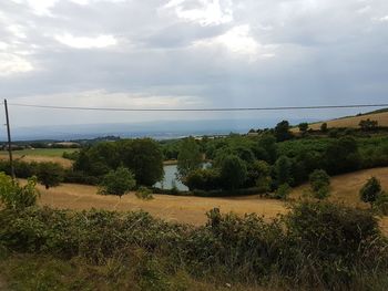 Scenic view of field against sky