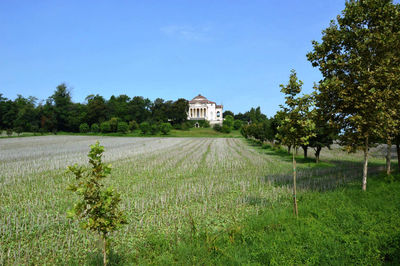 House on field against clear sky