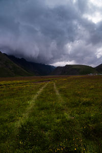 environment
