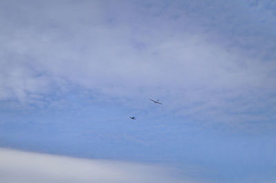 Low angle view of birds flying against sky