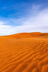 Scenic view of desert against sky