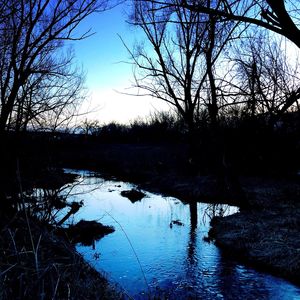 Reflection of bare trees in lake against sky