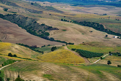 Scenic view of agricultural field