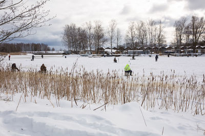 Bare trees on snow covered field against sky