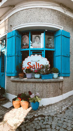 Flower pots on window of building