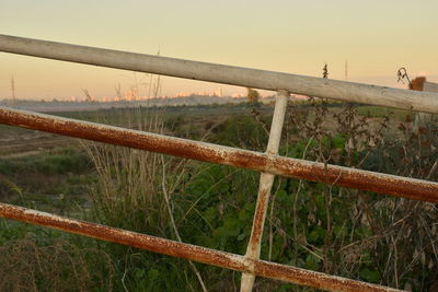 Close-up of rusty metal fence on field against sky