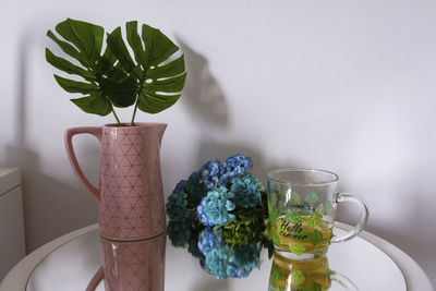 Close-up of potted plant on table