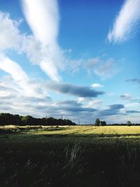 Scenic view of field against sky