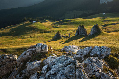 Scenic view of landscape