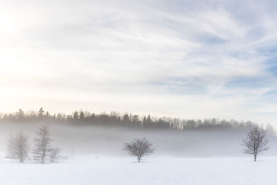 Trees on snow covered landscape against sky