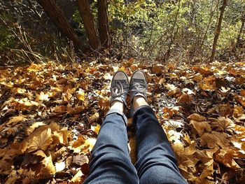 Low section of person standing in park