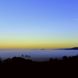 Scenic view of silhouette trees against clear sky at sunset