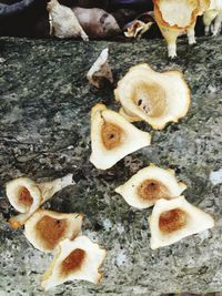 Close-up view of bread