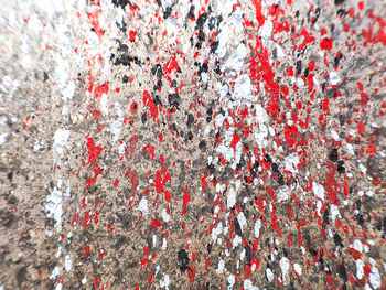 Close-up of splattered paint on wall