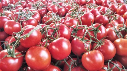 Full frame shot of tomatoes at market