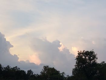 Low angle view of silhouette trees against sky during sunset