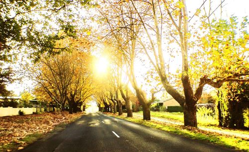 Road amidst trees against sky