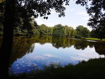 Reflection of trees in lake against sky