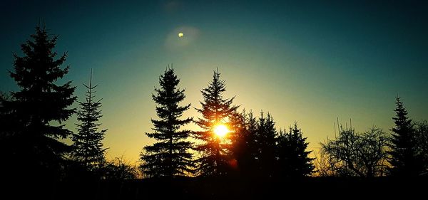 Close-up of silhouette trees against sky at sunset