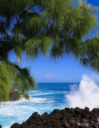 Scenic view of sea against blue sky