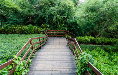 Wooden staircase at park