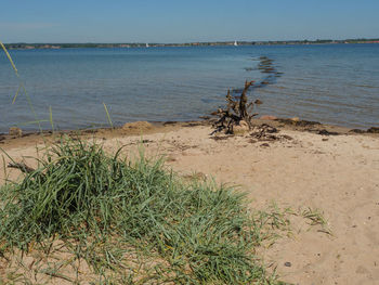 Scenic view of sea against clear sky