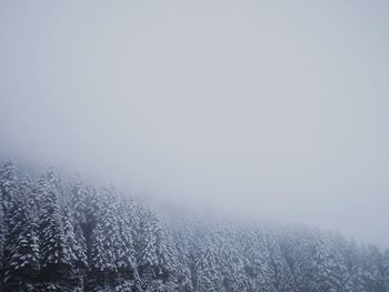 Scenic view of landscape against sky during winter