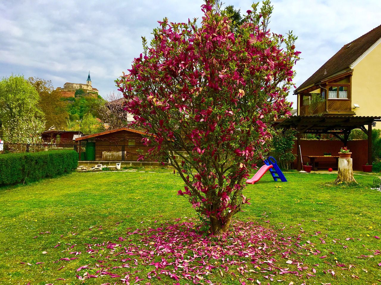 grass, built structure, growth, tree, sky, building exterior, architecture, house, no people, green color, nature, beauty in nature, flower, plant, day, outdoors, freshness