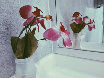 Close-up of orchids in vase at home