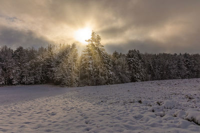 Trees on snow covered field against sky during winter