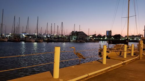Sailboats moored in harbor at sunset