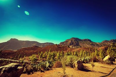 Scenic view of landscape against clear blue sky