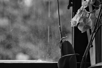 Low section of person sitting in car