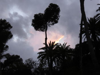 Silhouette of palm trees against cloudy sky