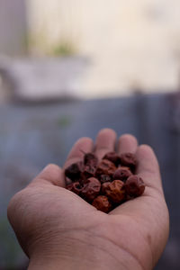 Close-up of hand holding dried jujube on hand outdoors